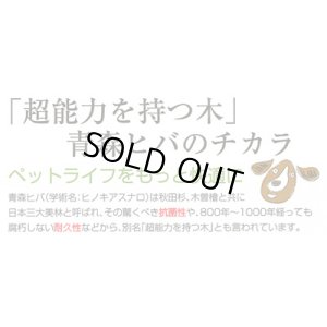 画像3: 天然素材の消臭剤「青森ヒバ100%消臭芳香ミスト　詰替用　500ml」【防虫】