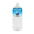 放射能未検出測定水「みんなの水 2L」