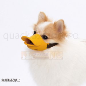 画像2: 【お取り寄せ商品】　口輪に見えないキュートな口輪「quack（クァック） closed S　ルビー(1c/s 10個）」