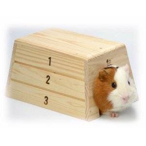 画像3: 【お取り寄せ商品】　小動物用跳び箱型木製ハウス！「とびばこハウス  」