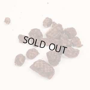画像2: 【入荷未定】【動画あり】偏りのないバランス栄養食！「まるごとうずら　30ｇ」