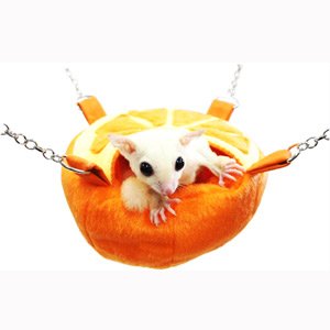 画像2: 【お取り寄せ商品】小動物用ハンモック＆ハウス！「フルーツカップ　オレンジ」