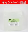 【10月21日〜12月13日限定キャンペーン】「ゾイックN パピドールリンス 4000ml」