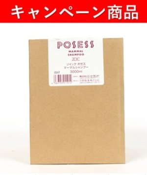 画像1: 【10月21日〜12月13日限定キャンペーン】「ポゼス　マーマルシャンプー　3000ml」