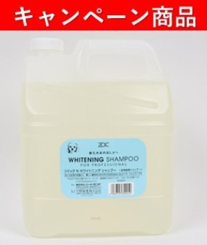 画像1: 【10月21日〜12月13日限定キャンペーン】「ゾイックN ホワイトニングシャンプー 4000ml」