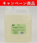 【10月21日〜12月13日限定キャンペーン】「ゾイックN パピドールシャンプー 4000ml」