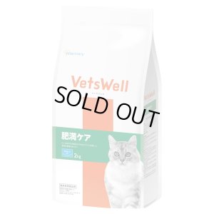 画像1: 「ベッツウェル猫用肥満ケア 2kg」
