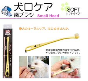 画像2: 小〜中型犬用歯ブラシ「犬口ケア歯ブラシ ソフトSmall Head」