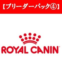 画像1: ブルドッグ 成犬12ｋｇ (1)